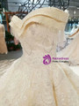 Light Champagne Tulle Lace Appliques Off The Shoulder Beading Wedding Dress With Beading