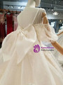 Champagne Tulle Sequins Sweetheart Puff SLeeve Backless Wedding Dress