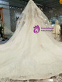 Champagne Ball Gown Satin Lace Appliques Off The Shoulder Wedding Dress With Beading
