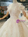 Champagne Tulle Sequins Lace Appliques Off The Shoulder Wedding Dress