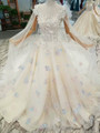 Champagne Ball Gown Tulle Appliques Cap Sleeve Backless Wedding Dress