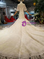 Champagne Meramid Tulle Sequins Puff Sleeve Backless Beading Dress With Train