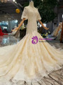 Champagne Meramid Tulle Sequins Puff Sleeve Backless Beading Dress With Train