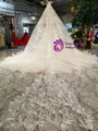 Champagne Meramid Tulle Sequins Puff Sleeve Backless Beading Dress With Train