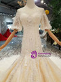 Champagne Meramid Tulle Sequins Puff Sleeve Backless Beading Dress With Train