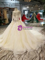 Light Champagne Tulle Sequins Long Sleeve Backless Appliques Wedding Dress