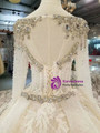 Light Champagne Tulle Sequins Long Sleeve Backless Appliques Wedding Dress