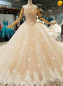 Champagne Ball Gown Tulle Strapless Swan Appliques Wedding Dress With Train