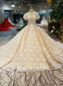 Champagne Ball Gown Lace Short Sleeve Square Appliques Wedding Dress With Train