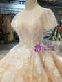 Champagne Ball Gown Lace Short Sleeve Square Appliques Wedding Dress With Train