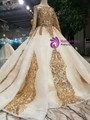 Champagne Ball Gown Sequins Long Sleeve Wedding Dress With Long Train