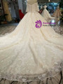 Champagne Tulle Lace Appliques Off The Shoulder Short Sleeve Wedding Dress