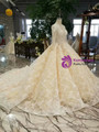 Champagne Ball Gown Tulle Sequins Lace Long Sleeve Wedding Dress