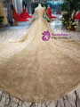 Champagne Gold Tulle Sequins Long Sleeve Beading Wedding Dress With Long Train