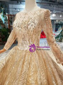 Champagne Gold Tulle Sequins Long Sleeve Beading Wedding Dress With Long Train