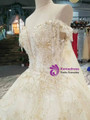 Champagne Tulle Sequins Applqiues Off The Sholuder Wedding Dress With Beading