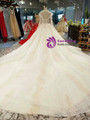 Champagne Ball Gown Tulle Appliques Long Sleeve Backless Beading Wedding Dress