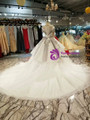 Ball Gown Tulle Sequins Gray Appliques Short Sleeve Wedding Dress With Train