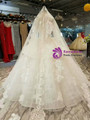 Ball Gown Sequins Lace Appliques Long Sleeve Backless Floor Length Wedding Dress