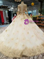 Wonderful Champagne Tulle Appliques Long Sleeve Beading Wedding Dress