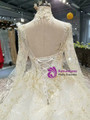Light Champagne Tulle Sequins High Neck Long Sleeve Backless Wedding Dress