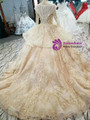 Champagne Tulle Lace Appliques Bateau Long Sleeve Wedding Dress With Beading