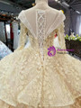 Champagne Tulle Lace Appliques Bateau Long Sleeve Wedding Dress With Beading