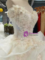 Light Champagne Tulle Appliques Off The Shoulder Wedding Dress With Beading