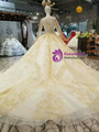 Champagne Tulle Appliques Bateau Long SLeeve Wedding Dress With Beading
