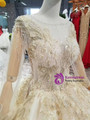 Champagne Tulle Appliques Bateau Long SLeeve Wedding Dress With Beading