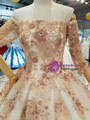 Champagne Tulle Appliques Off The Sholuder Short Sleeve Wedding Dress