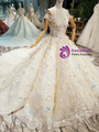 Light Champagne Ball Gown Colorful Appliques Off The Shoulder Wedding Dress
