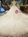 Light Champagne Ball Gown Colorful Appliques Off The Shoulder Wedding Dress