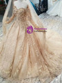 Champagne Tulle Lace Appliques Off The Shoulder Long Sleeve Wedding Dress