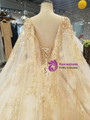Champagne Ball Gown Tulle Lace Appliques Backless Wedding Dress With Beading