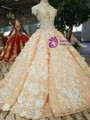 Champagne Ball Gown High Neck Backless Cap Sleeve Appliques Wedding Dress