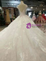 Shop 2019 Long & Short Ball Gown Tulle High Neck Backless Cap Sleeve Wedding Dress With Long Train With Factory Price From Kemedress