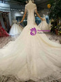 Shop 2019 Long & Short Light Champagne Mermaid Tulle Sequins Cap Sleeve Backless Beading Wedding Dress With Factory Price From Kemedress