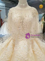 Shop 2019 Long & Short Champagne Ball Gown Tulle Sequins Appliques Backless Wedding Dress With Train With Factory Price From Kemedress