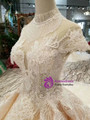 Shop 2019 Long & Short Champagne Ball Gown Lace High Neck Backless Cap Sleeve Wedding Dress With Beading With Factory Price From Kemedress