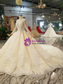 Shop 2019 Long & Short Champagne Ball Gown Tulle Sequins Long Sleeve Appliques Beading Wedding Dress With Factory Price From Kemedress
