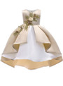 Shop 2019 Long & Short In Stock:Ship in 48 Hours Champagne Satin Appliques Girl Princess Dresses With Factory Price From Kemedress