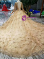 Shop 2019 Long & Short Champagne Tulle Sequins Square Long Sleeve Beading Wedding Dress With Long Train With Factory Price From Kemedress