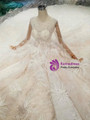 Shop 2019 Long & Short Champagne Ball Gown Tulle Sequins Long Sleeve Bateau Wedding Dress With Feather With Factory Price From Kemedress