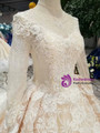 Shop 2019 Long & Short Champagne Ball Gown Lace Long Sleeve Beading Appliques Wedding Dress With Factory Price From Kemedress