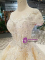 Shop 2019 Long & Short Champagne Ball Gown Tulle Sequins Cap Sleeve Backless Wedding Dress With Beading With Factory Price From Kemedress