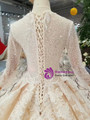 Shop 2019 Long & Short Champage Ball Gown Lace V-neck Long Sleeve Beading Wedding Dress With Train With Factory Price From Kemedress