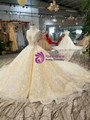 Shop 2019 Long & Short Champagne Ball Gown Tulle Sequins V-neck Backless Beading Wedding Dress With Factory Price From Kemedress