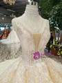 Shop 2019 Long & Short Champagne Ball Gown Tulle Sequins V-neck Backless Beading Wedding Dress With Factory Price From Kemedress