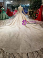 Shop 2019 Long & Short Champagne Ball Gown Tulle Sequins Bateau Long Sleeve Backless Wedding Dress With Factory Price From Kemedress